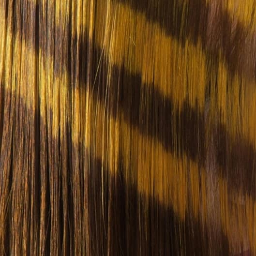 Bronze Medal at Face Forward in Hooksett, NH